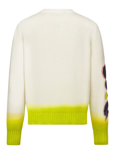Dior x KAWS Wool Knit Sweatshirt in White